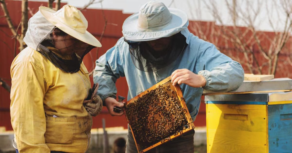 kate middleton beekeeping hobby