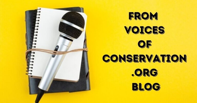 Understanding the Importance of from voicesofconservation.org blog