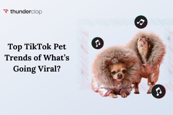 TikTok Pet Trends