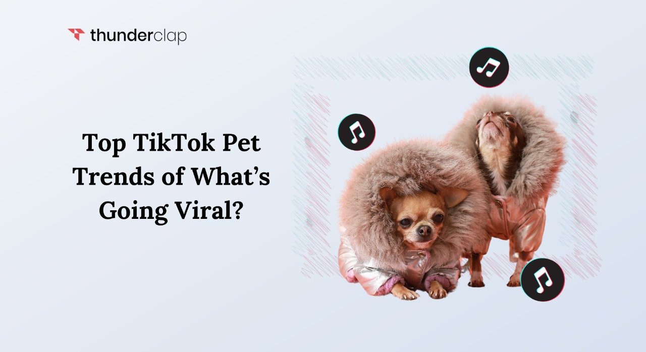 TikTok Pet Trends