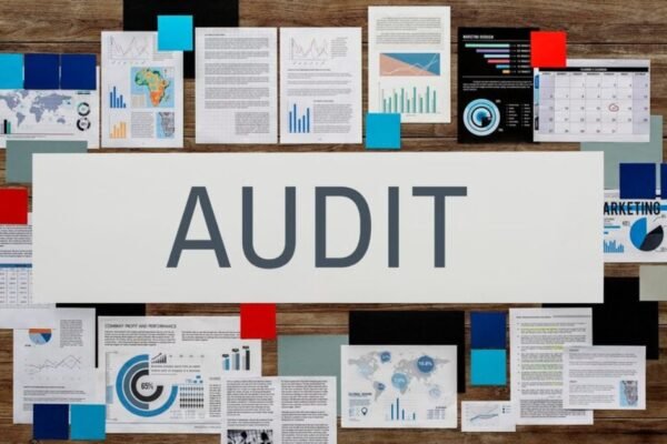 audit procedure