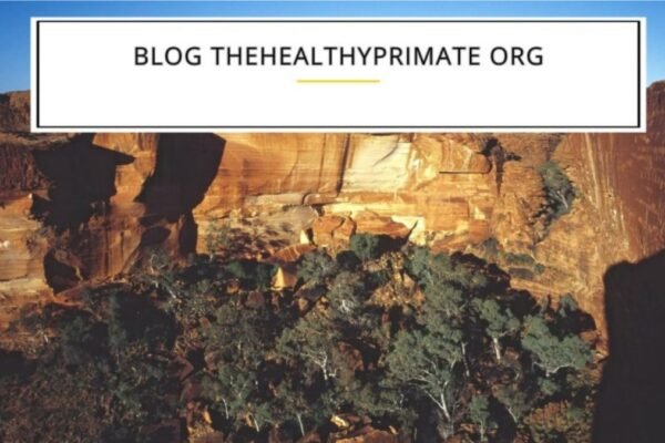 blog thehealthyprimate org