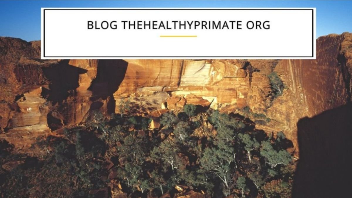 blog thehealthyprimate org